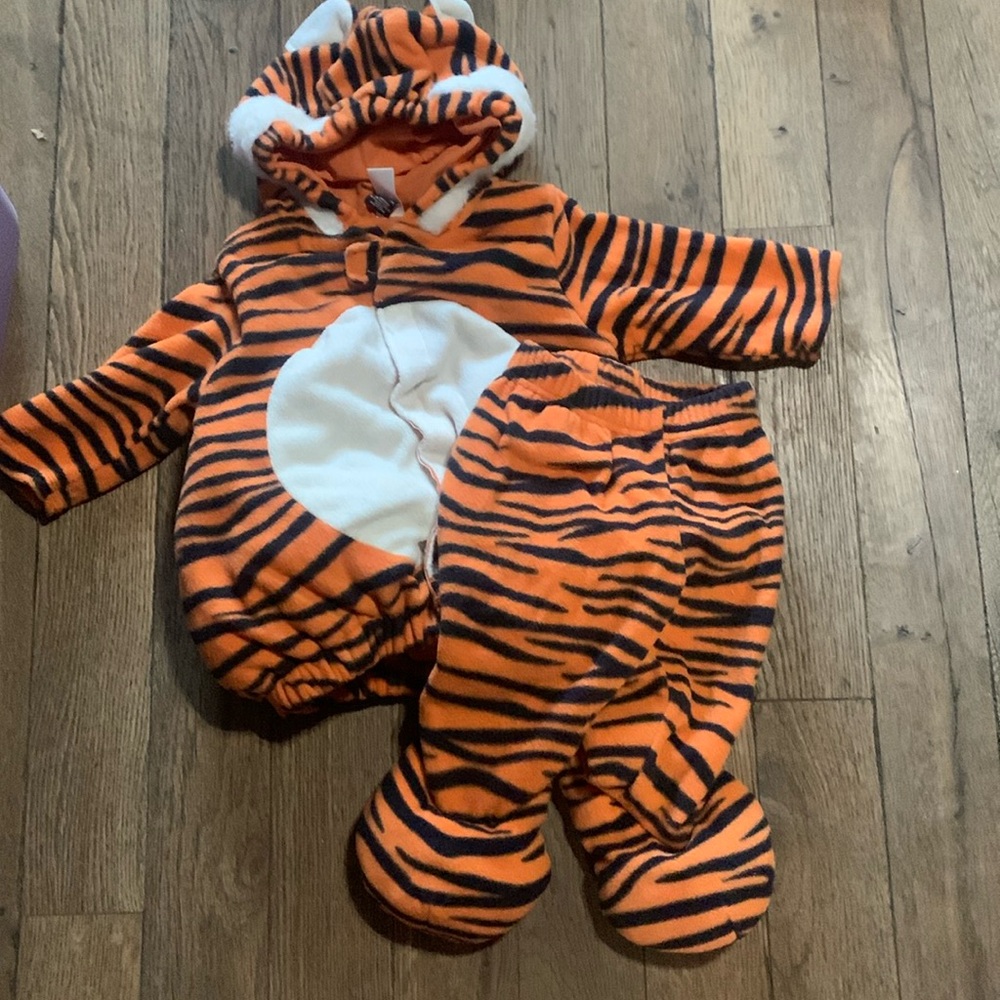 Tiger Costume. AR